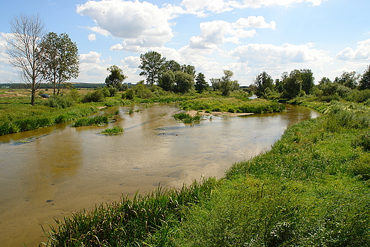 Nida. Mokrsko Dolne