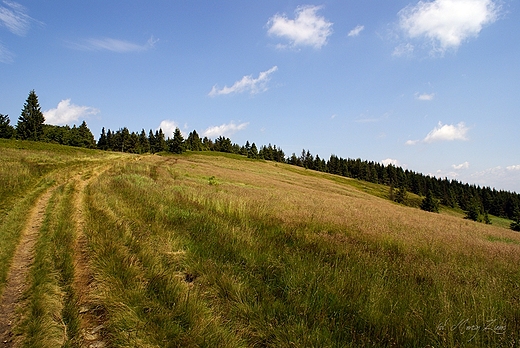 Na beskidzkiej hali