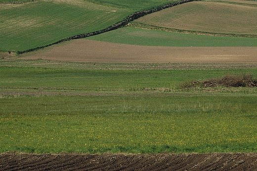 Proszowice - zagubiona sadyba