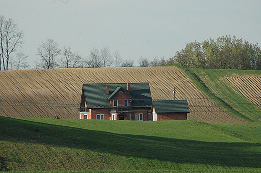 Proszowice - nuta znad pl