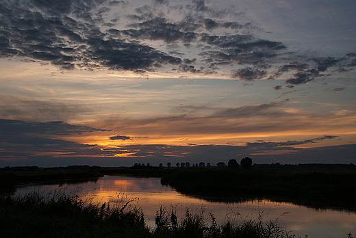 Narew w Zotorii