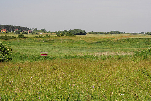 Rezerwaty Ponidzia - rezerwat Owczary