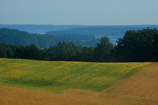 Zaborski Park Krajobrazowy