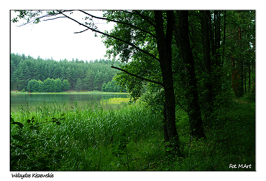 Wdzydze Kiszewskie - jezioro Jelenie