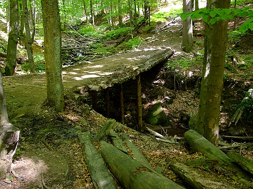 W drodze na Barani Gre. Beskid lski