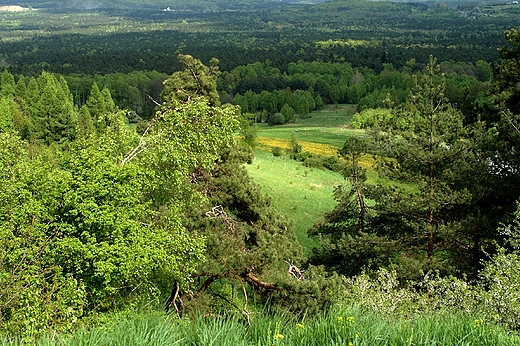 Widok z zamkowego wzgrza