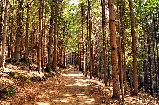 Beskid lski