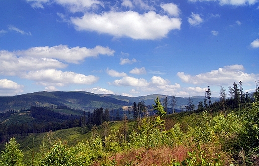Beskid lski