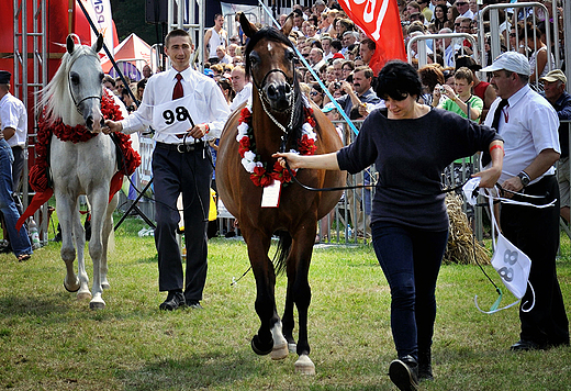 Aukcja koni arabskich Pride of Poland 5-9 sierpnia 2011