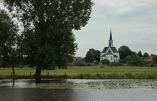 Pniw - rezerwat orzecha wodnego