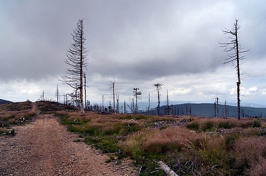 Beskid lski