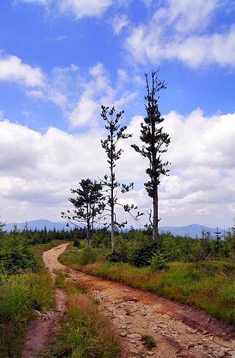 Beskid lski