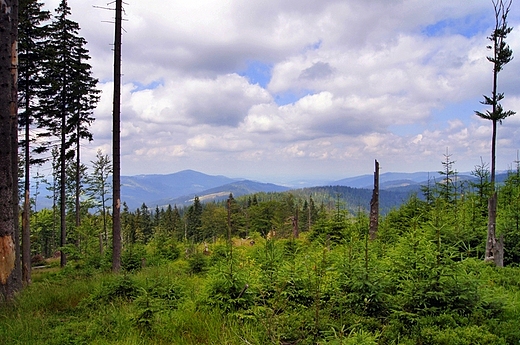 Beskid lski