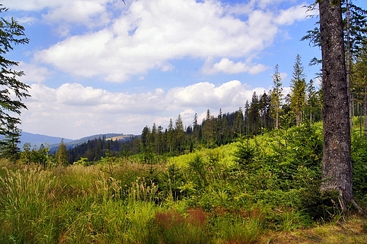 Beskid lski