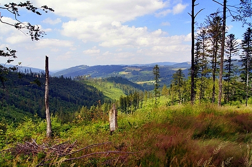 Beskid lski