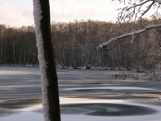 Jezioro Torfy zim