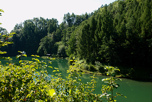 Goleszw jezioro Ton