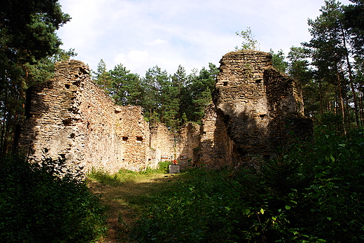 Ruiny kocioa w. Michaa. Gruszczyn