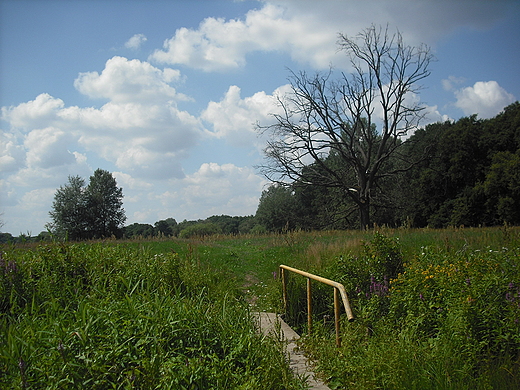 Rogalin. Rogaliski Park Krajobrazowy.