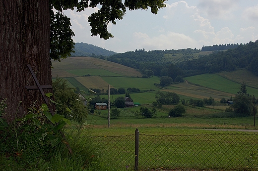 Terka - fragment starego cmentarza
