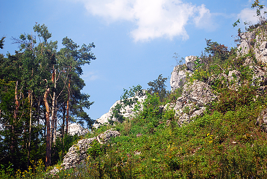 Rezerwat przyrody Gra Zborw.