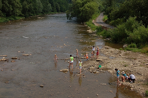 Terka - rzeka Solinka