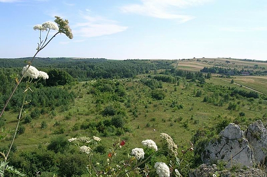 Widok ze szczytu Okiennika Skaryckiego