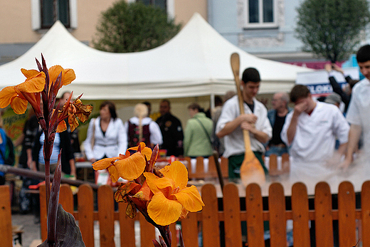 Zbjnicy, Kucharze na skoczowskim rynku III Festiwal Kuchni Zbjnickiej