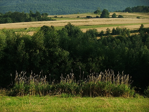 Rajbrot - polany