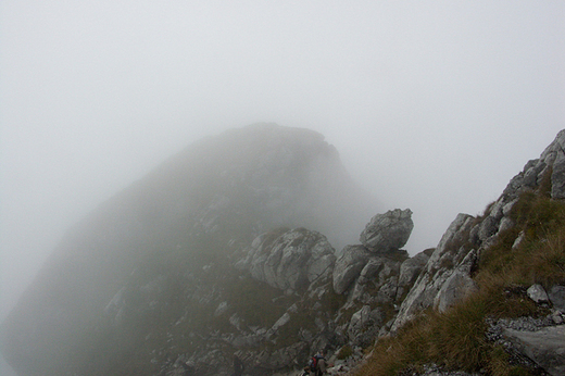 Skay w drodze na Giewont