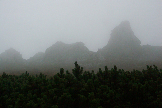 Skay w drodze na Giewont