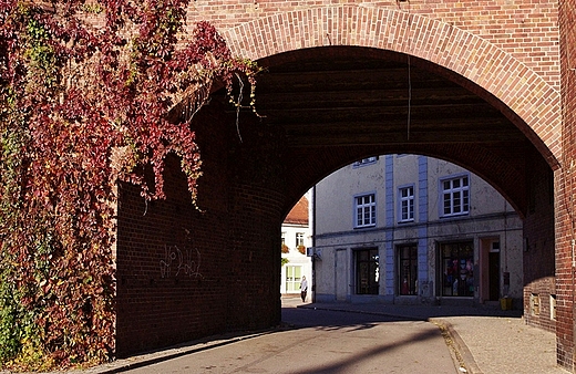Lubsko