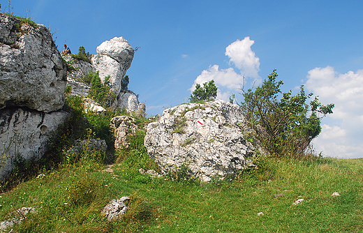 Rezerwat przyrody Gra Zborw.