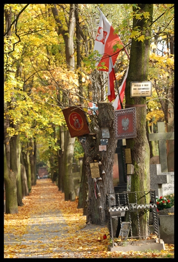 Stare Powązki
