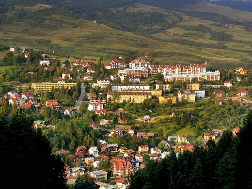 Szczawnica - widok z Palenicy