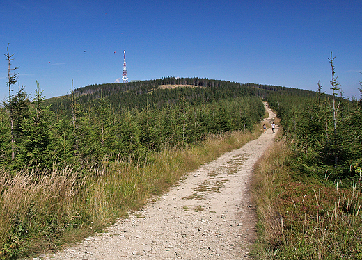 Widok na Skrzyczne-1257mnpm. od strony Malinowskiej Skay.