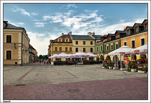 Zamo - Rynek Solny