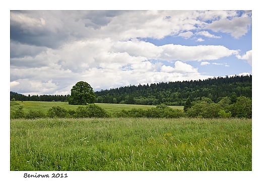 Bieszczadzkie wdrwki