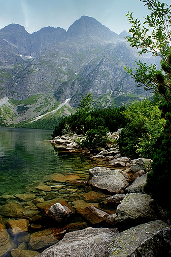 MORSKIE OKO