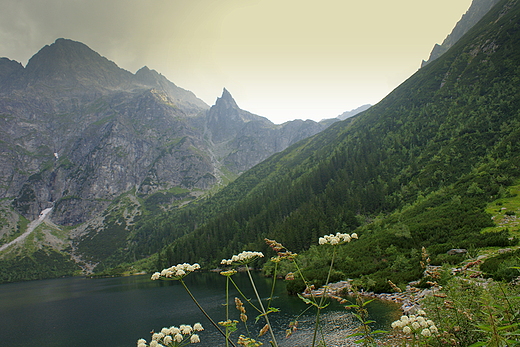 MORSKIE OKO