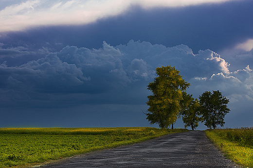 Burza. Okolice Piczowa. Ponidzie