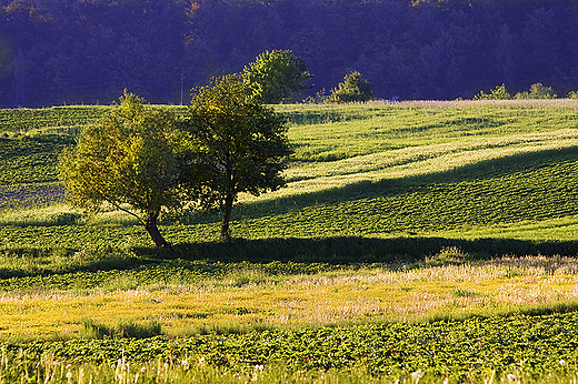 witokrzyskie klimaty