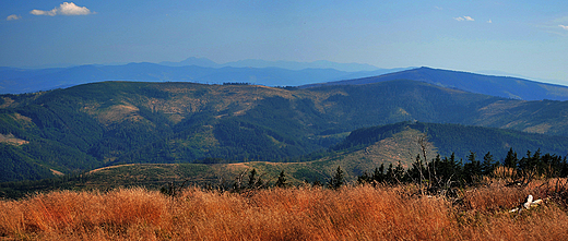 Widok na Beskid ywiecki z Kopy Skrzyczeskiej 1191mnpm.