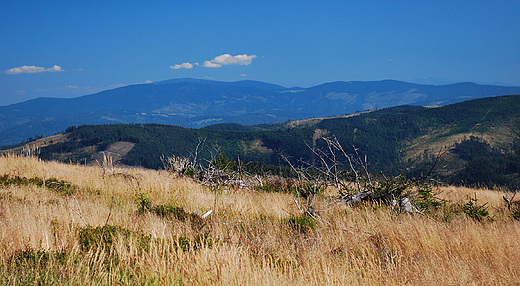 Beskid ywiecki widziany spod Malinowskiej Skay.