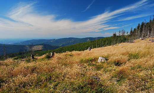 Beskid lski ogldany z trasy na Malinowsk Skla.