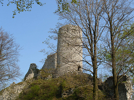 Ruiny zamku w Smoleniu