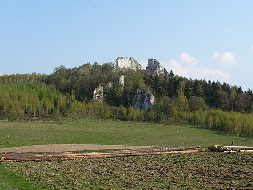 Wapienne skaki w Smoleniu