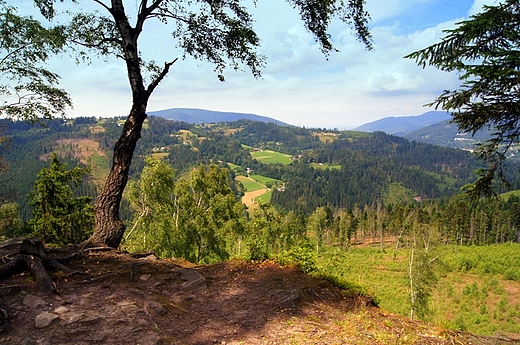 Widok z Kobylej Gry