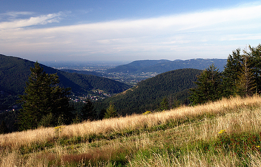 Widok na Beskid May z Hali Jaworzyny w Beskidzie lskim.