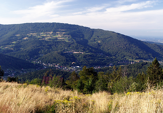 Beskid lski. Magura1111mnpm w pamie Klimczoka.